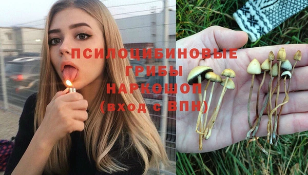 мяу мяу мука Пролетарск