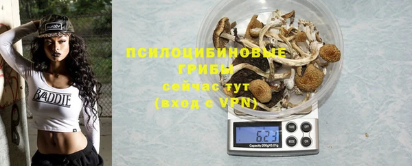 гидра Мензелинск