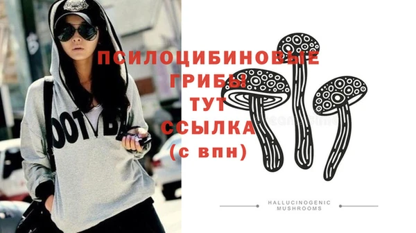 мяу мяу мука Пролетарск