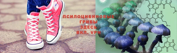 марки lsd Протвино