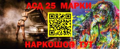 mdpv Новодвинск