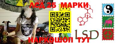 mdpv Новодвинск