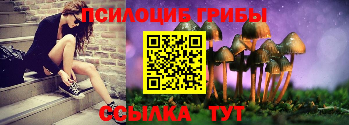 Галлюциногенные грибы Psilocybe  Вход с VPN  Энгельс 