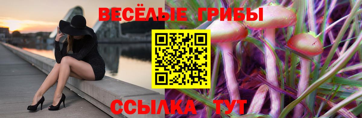 Псилоцибиновые грибы мухоморы Энгельс
